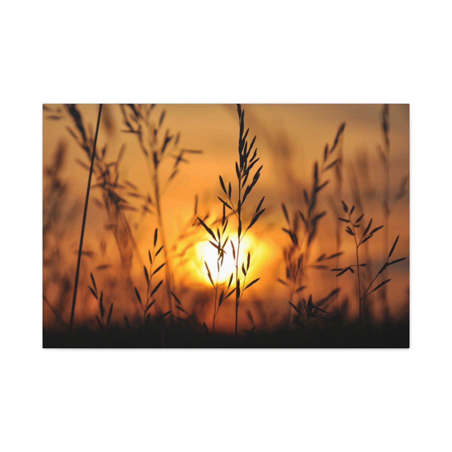 Dusk Wall Art & Canvas Prints