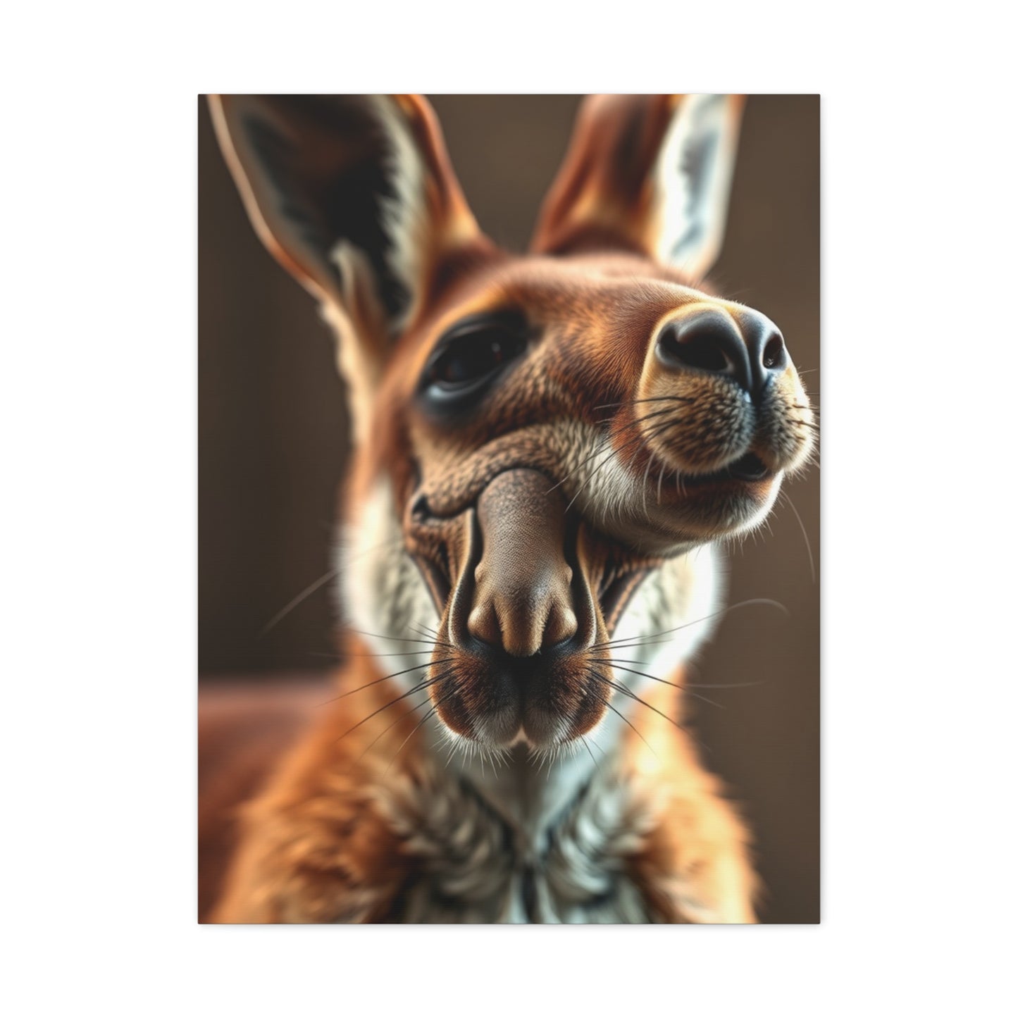 Supreme Kangaroo Art Wall Art & Canvas Print