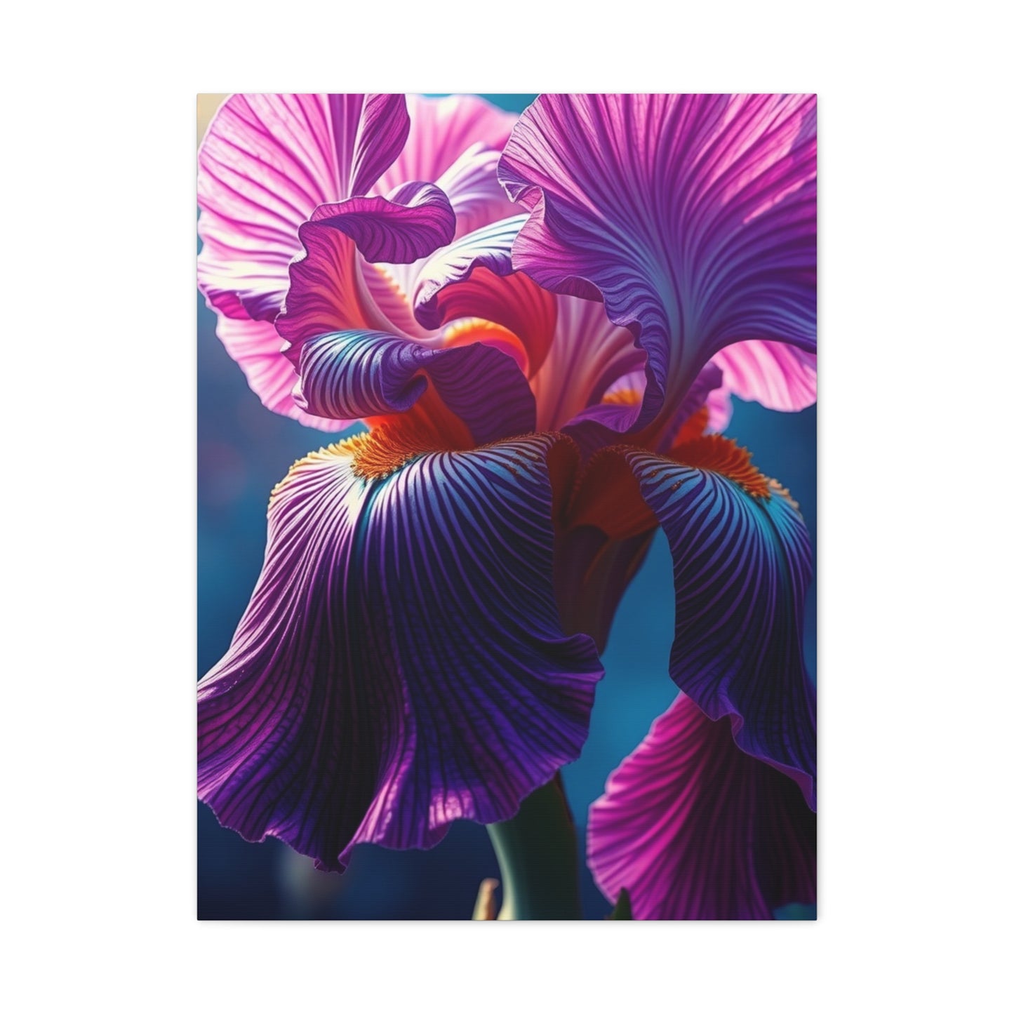 Supreme Iris Scott Art Wall Art & Canvas Print