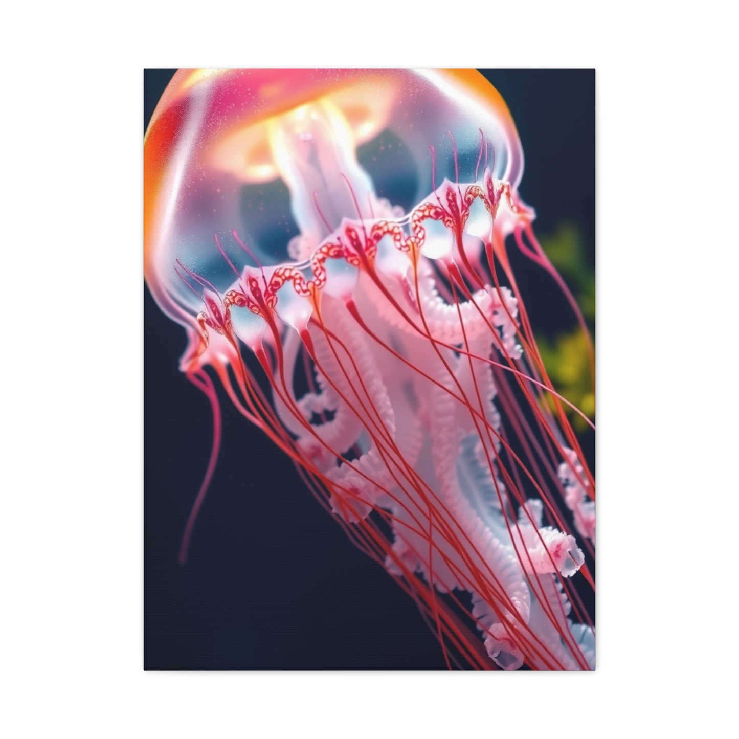 Supreme Jellyfish Collection Wall Art & Canvas Print