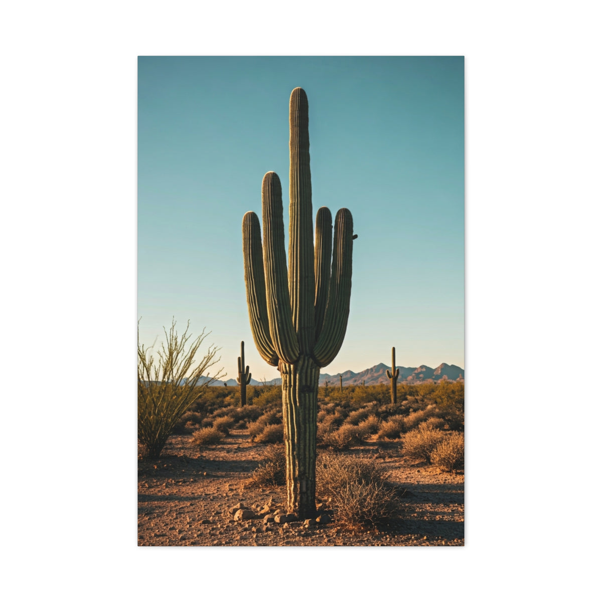Classic Saguaro Desert Landscape Wall Art & Canvas Prints