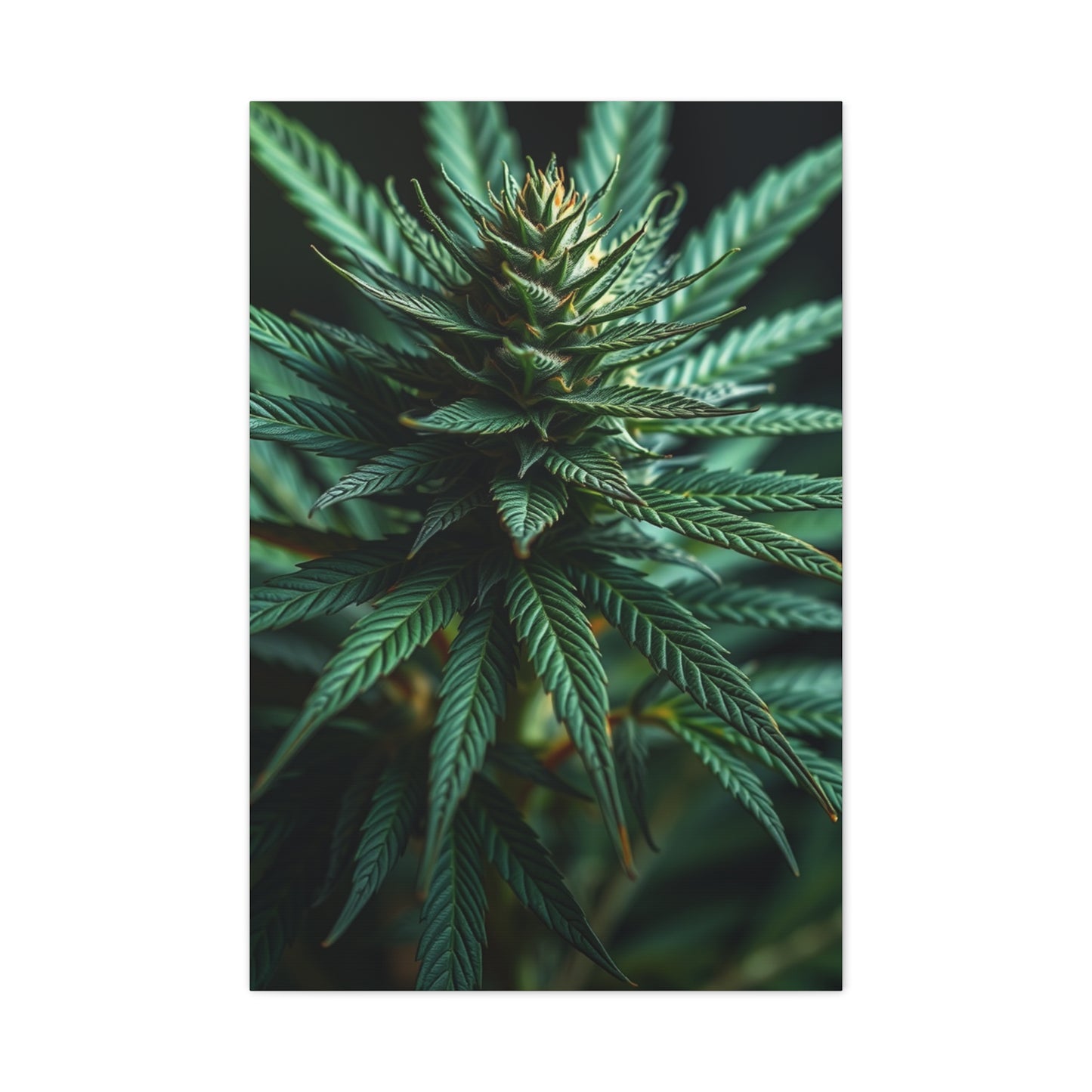 Ethereal Greenscape Art Wall Art & Canvas Print