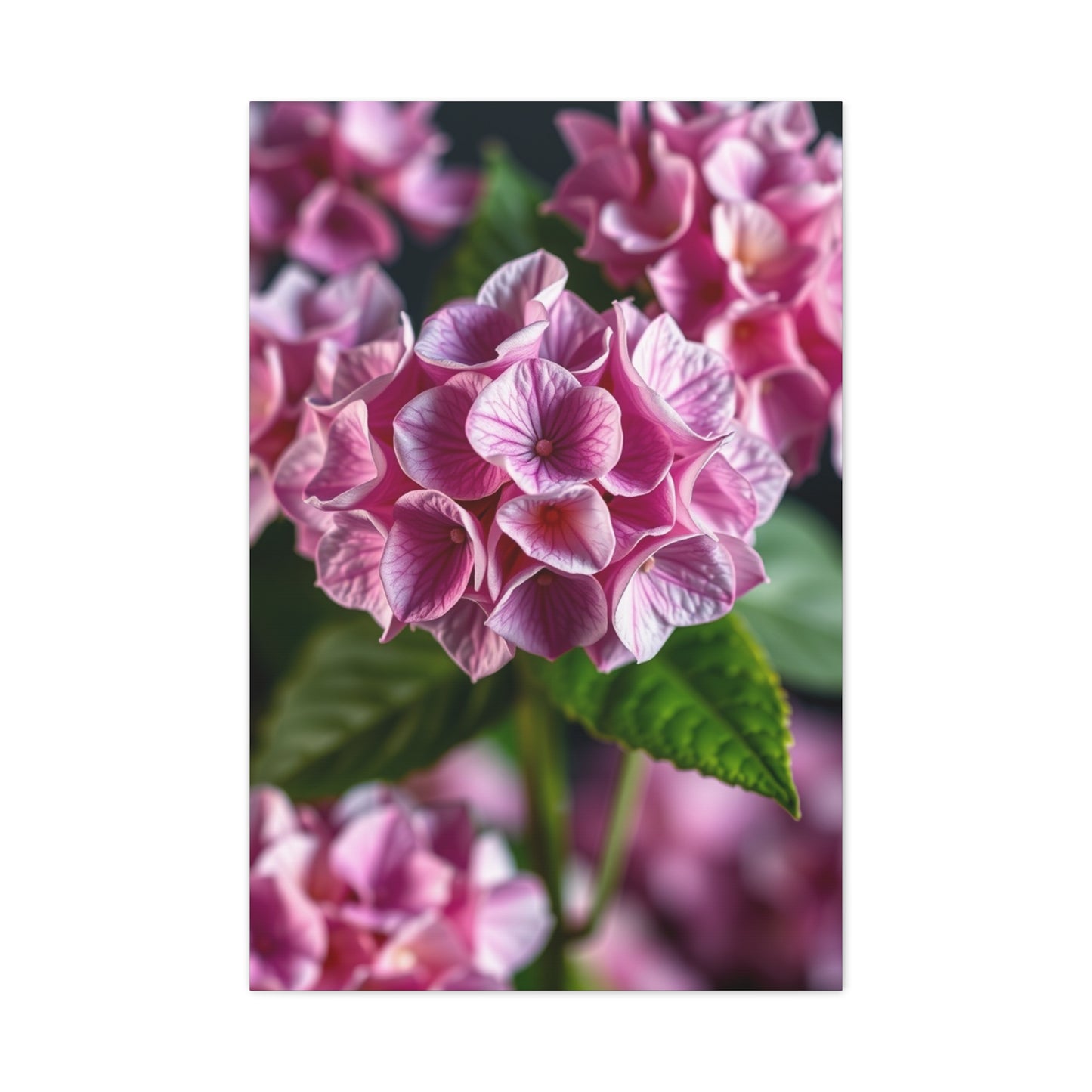 Supreme Hydrangea Flower Art Wall Art & Canvas Print