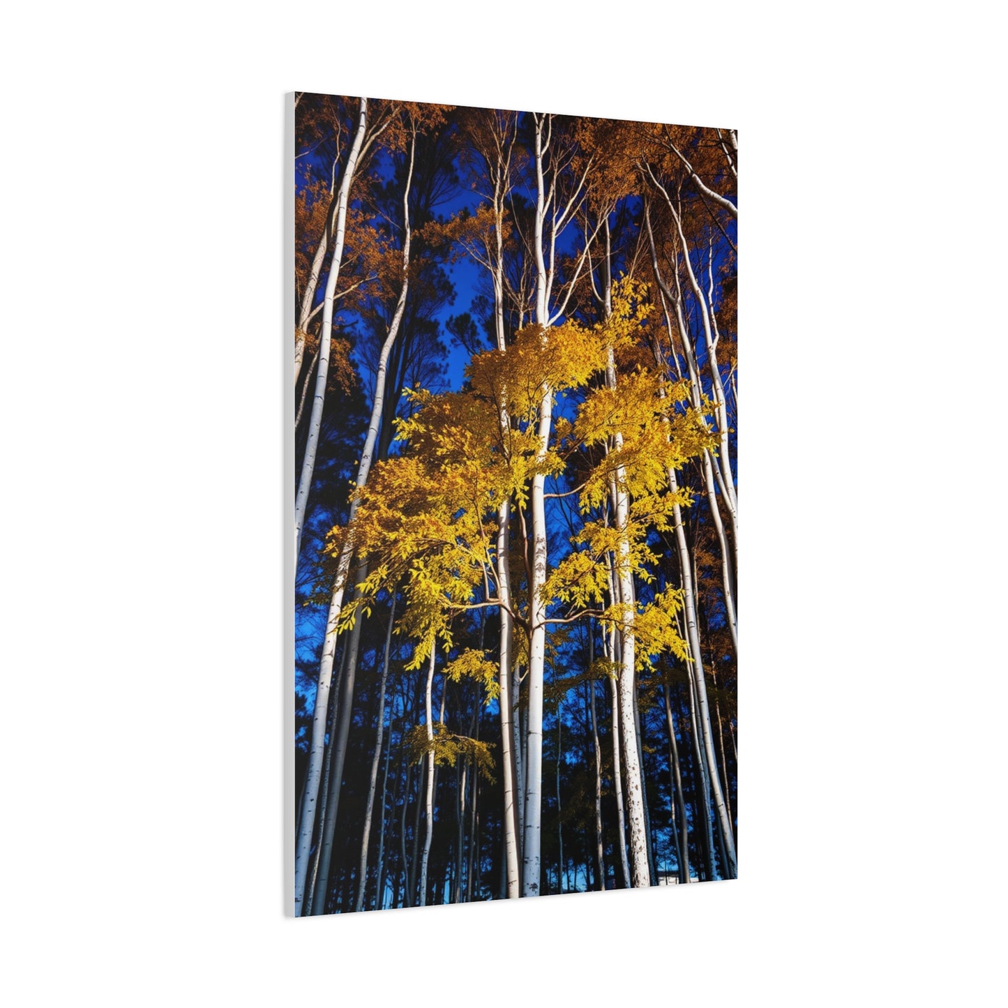 Vision Aspen Tree Art Art Wall Art & Canvas Print