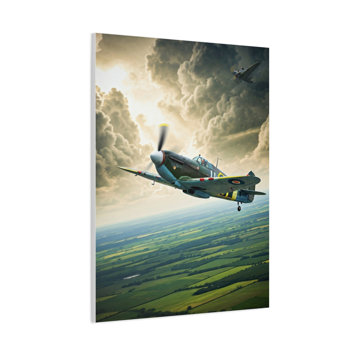 Classic Propeller Plane Over Open Fields Wall Art & Canvas Prints