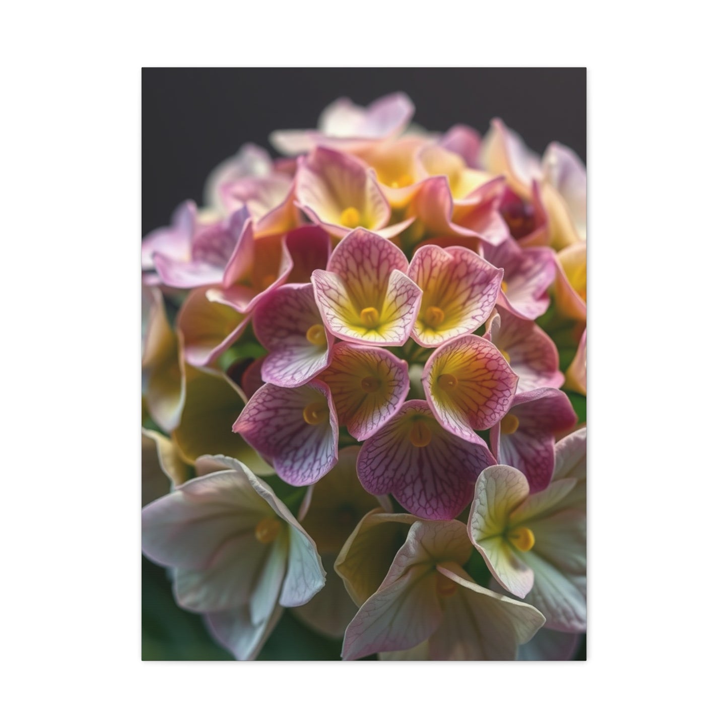 Vision Hydrangea Flower Art Art Wall Art & Canvas Print