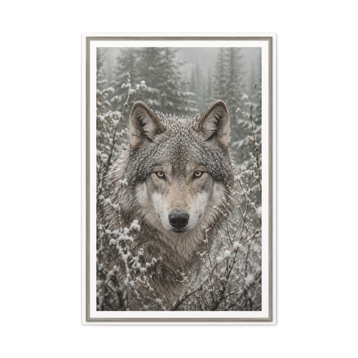 Snow Forest Gray Wolf Framed Portrait Wall Art & Canvas Print