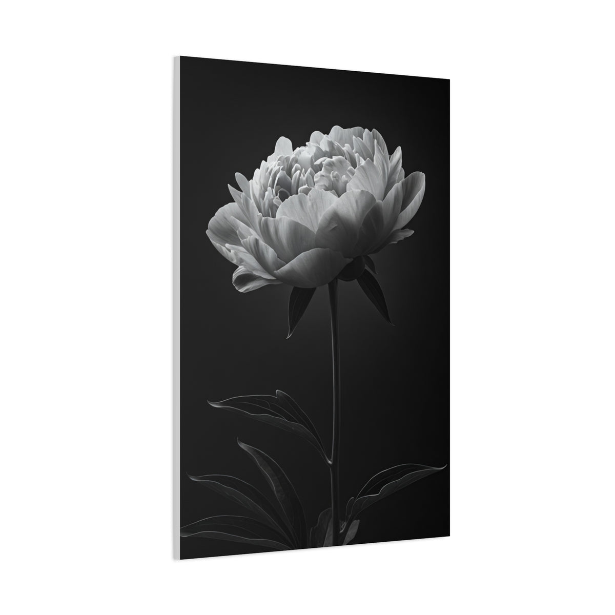 Peony Elegance in Monochrome Wall Art & Canvas Prints