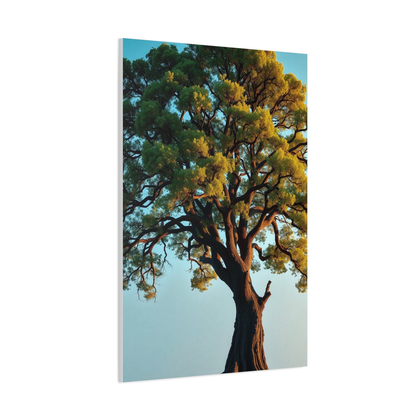 Oak Tree Art Supreme Canvas Wall Art & Canvas Print