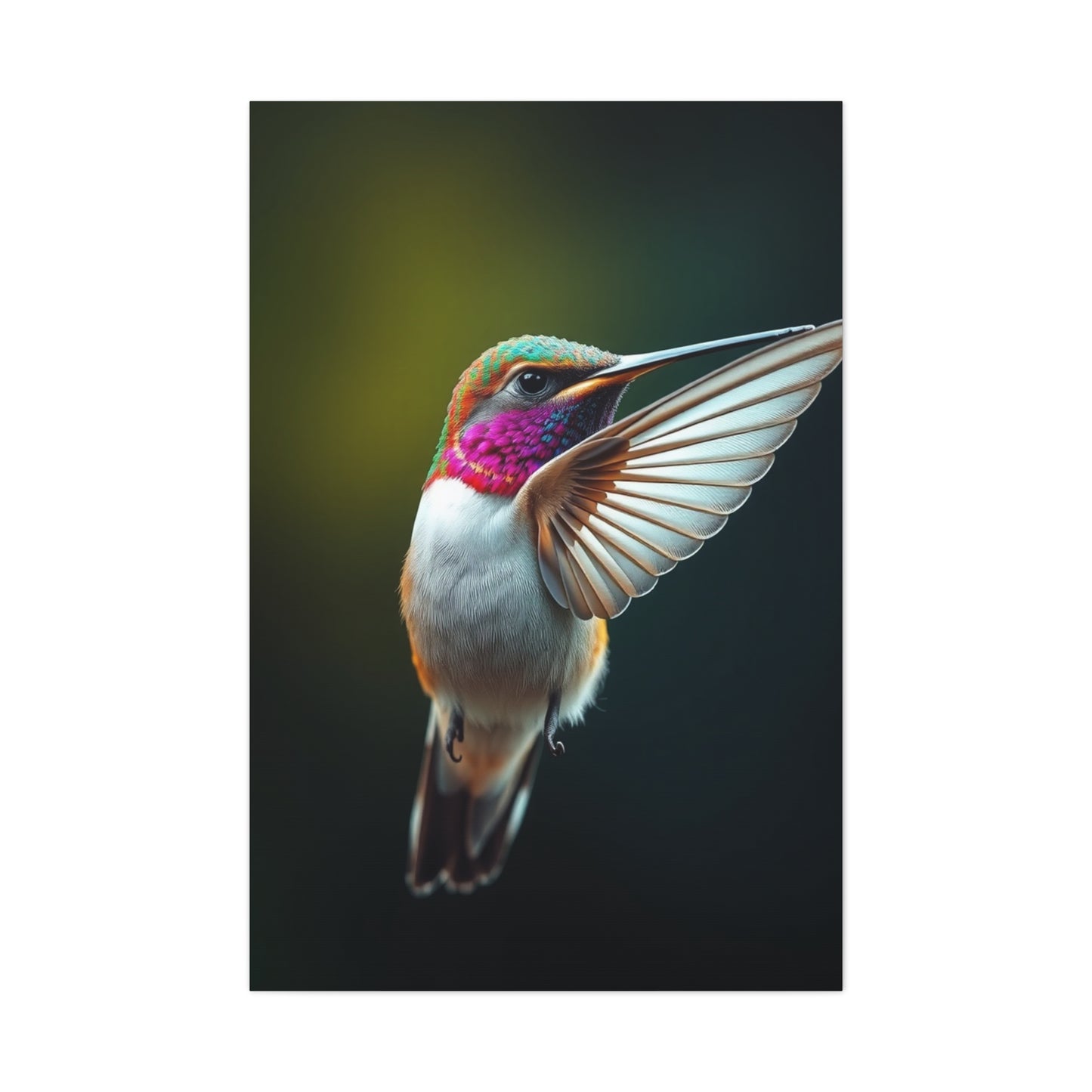 Beautiful Humming Bird Art Supreme Canvas Gallery Wall Art & Canvas Print