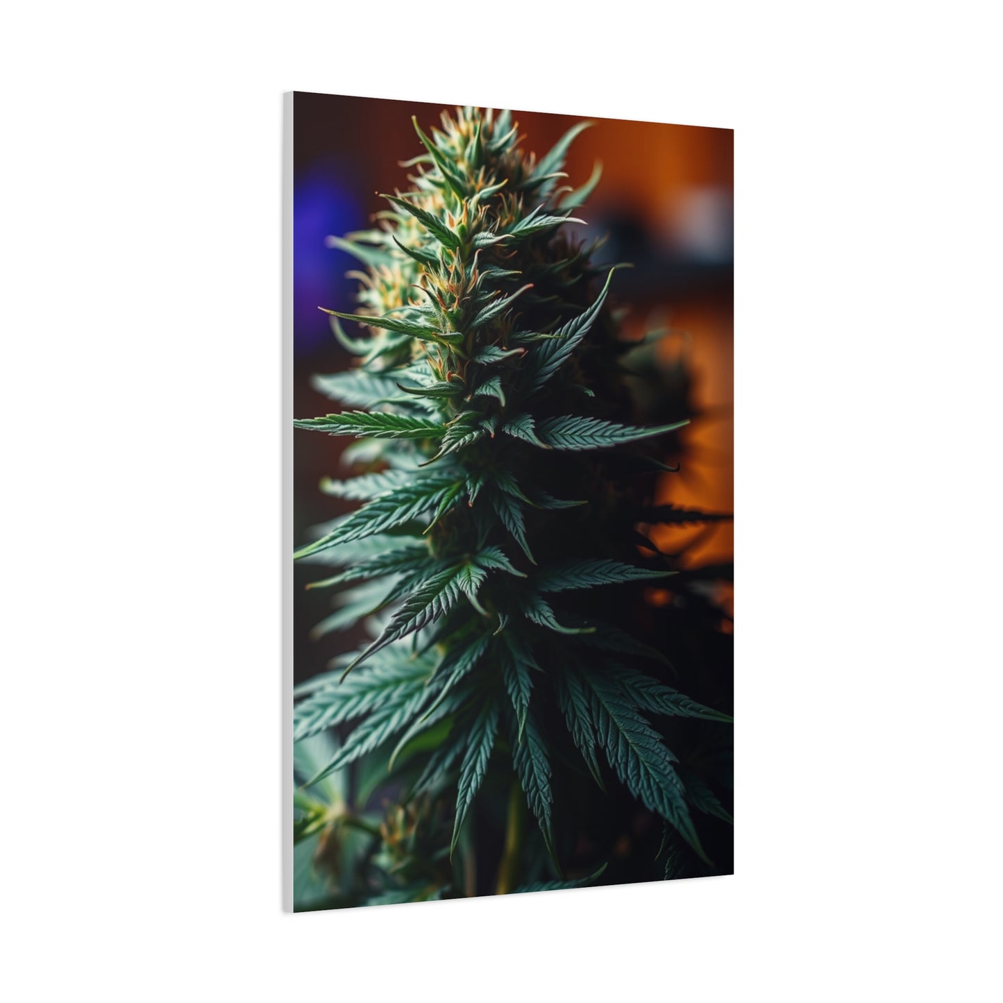 Herbal Opulence Wall Décor Wall Art & Canvas Print