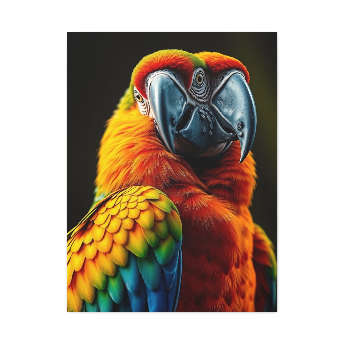 Supreme Parrot Art Wall Art & Canvas Print