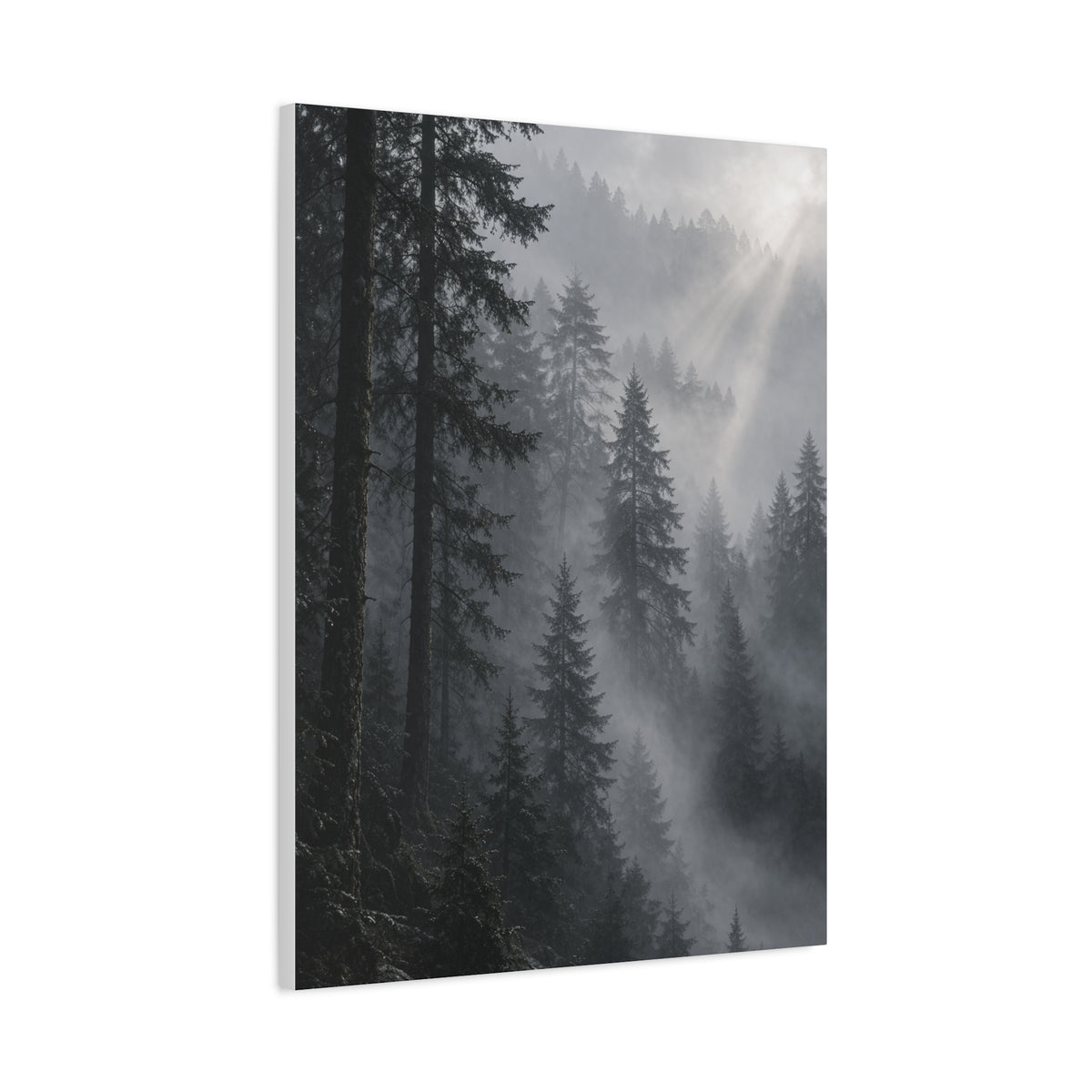Misty Pine Forest Light Wall Art & Canvas Print
