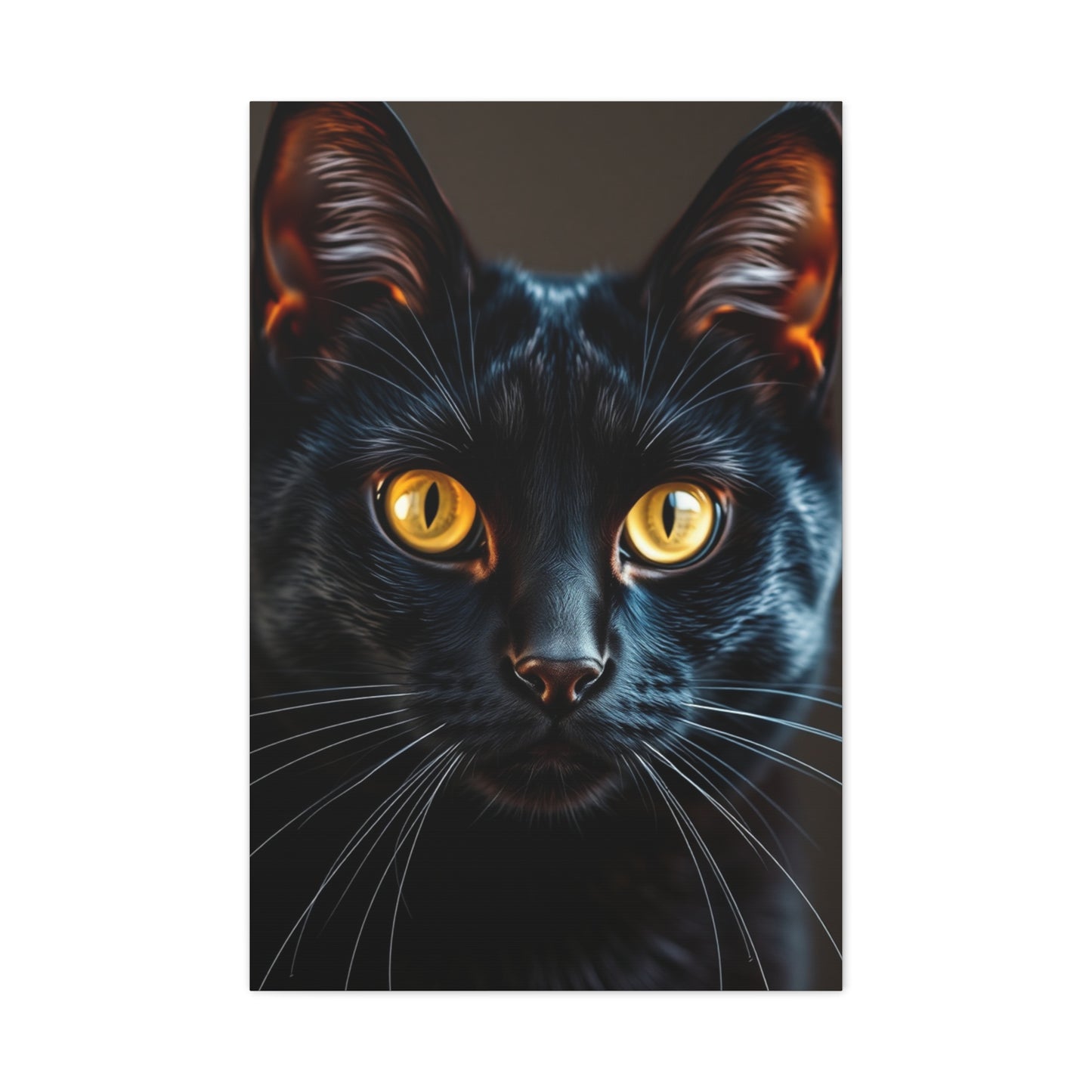 Black Cat Art Luxury Canvas Wall Art & Canvas Print