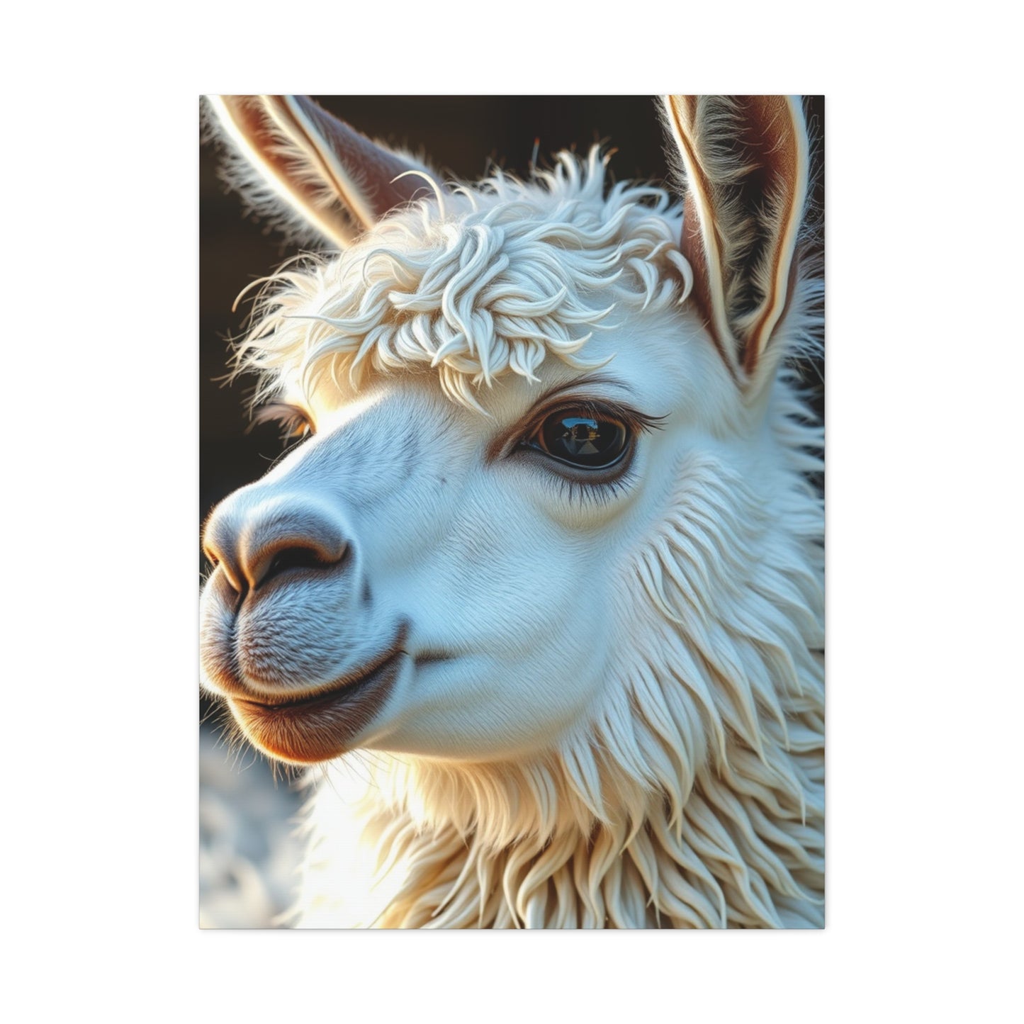 Llama & Alpaca Art Luxury Canvas Wall Art & Canvas Print