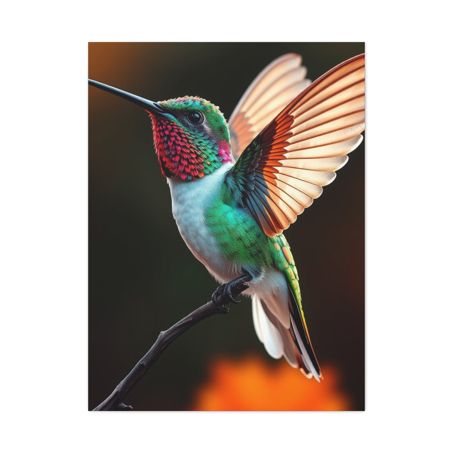 Humming Bird Art Luxury Canvas Wall Art & Canvas Print