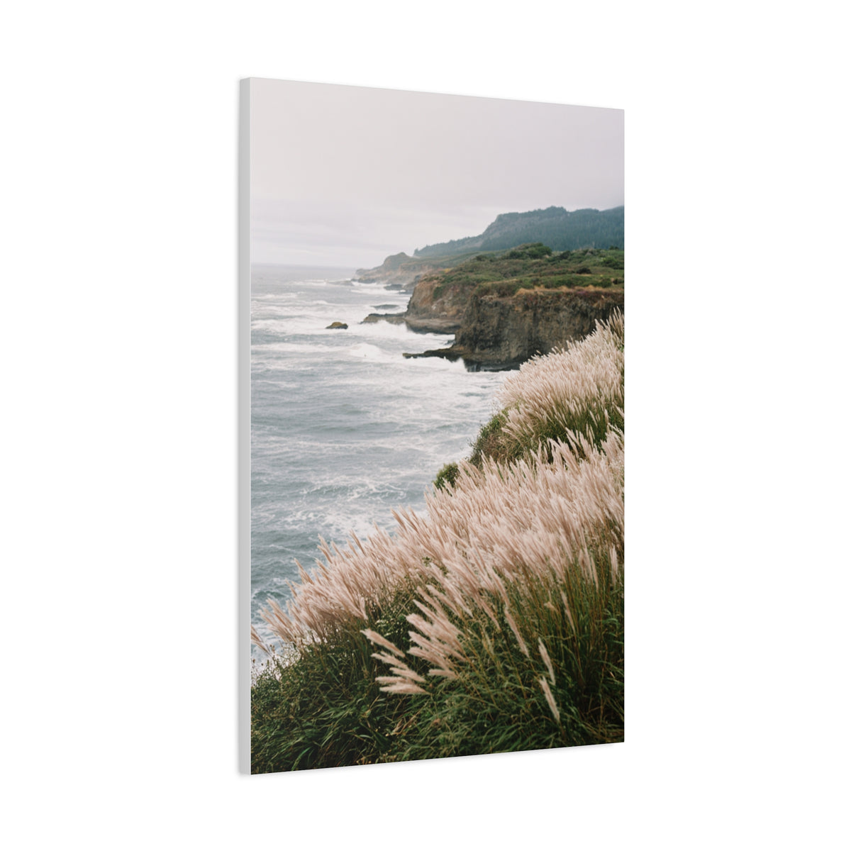 Wind Swept Coastal Cliffs Above the Ocean Wall Art & Canvas Print