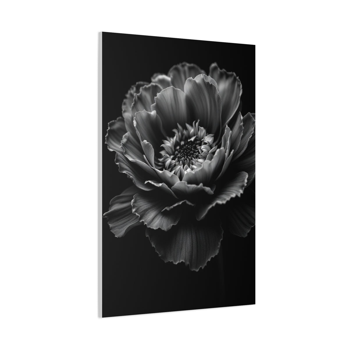 Layered Peony in Soft Shadow Wall Art & Canvas Prints
