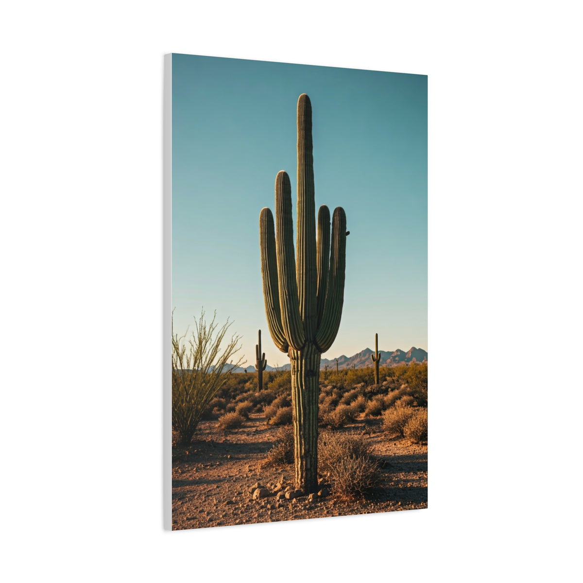 Classic Saguaro Desert Landscape Wall Art & Canvas Prints