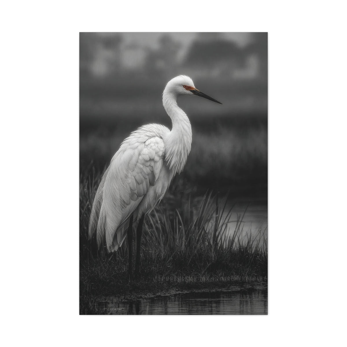 Light Grey Crane Mist Portrait Wall Art & Canvas Print