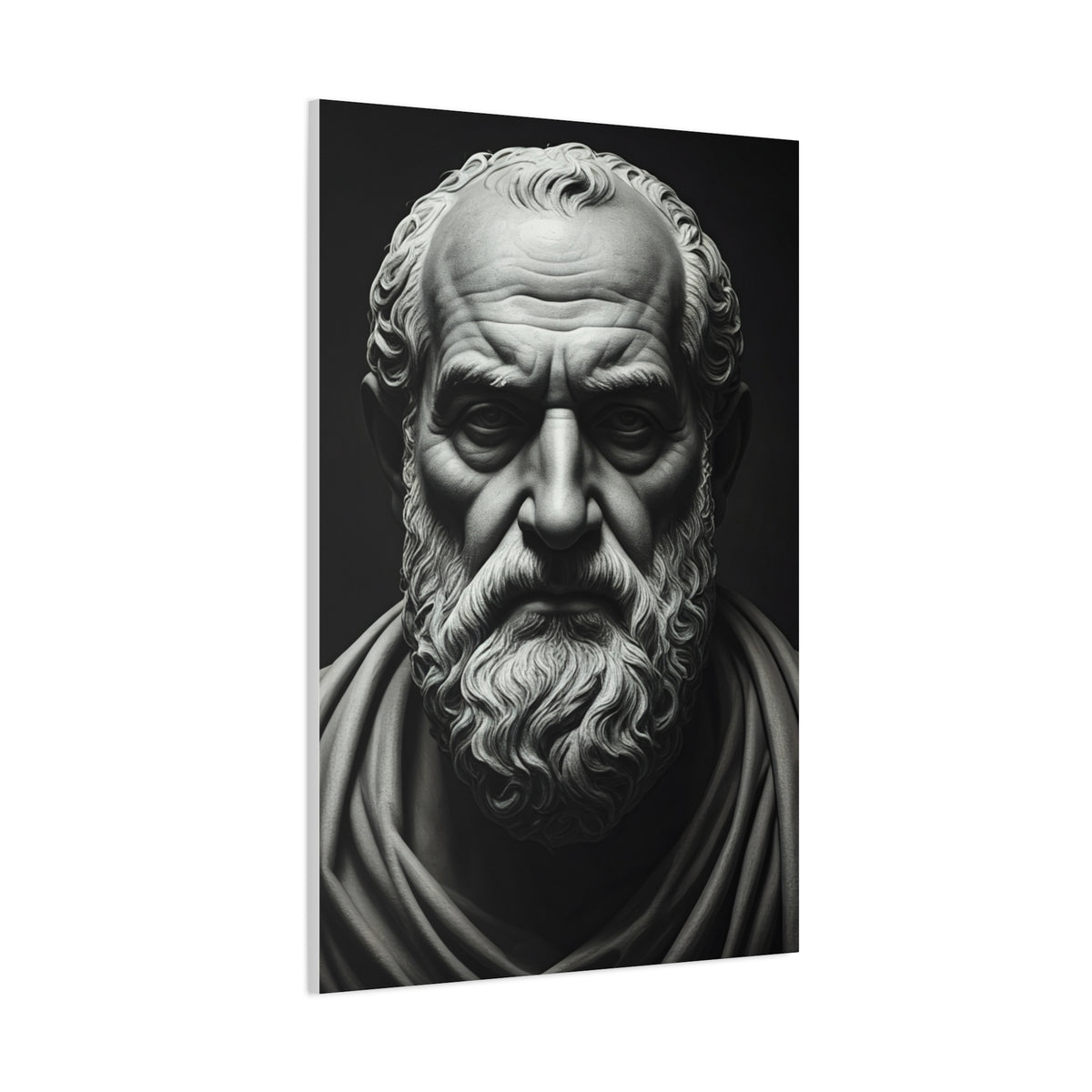 Timeless Wisdom Black & White Elder Portrait Wall Art & Canvas Prints