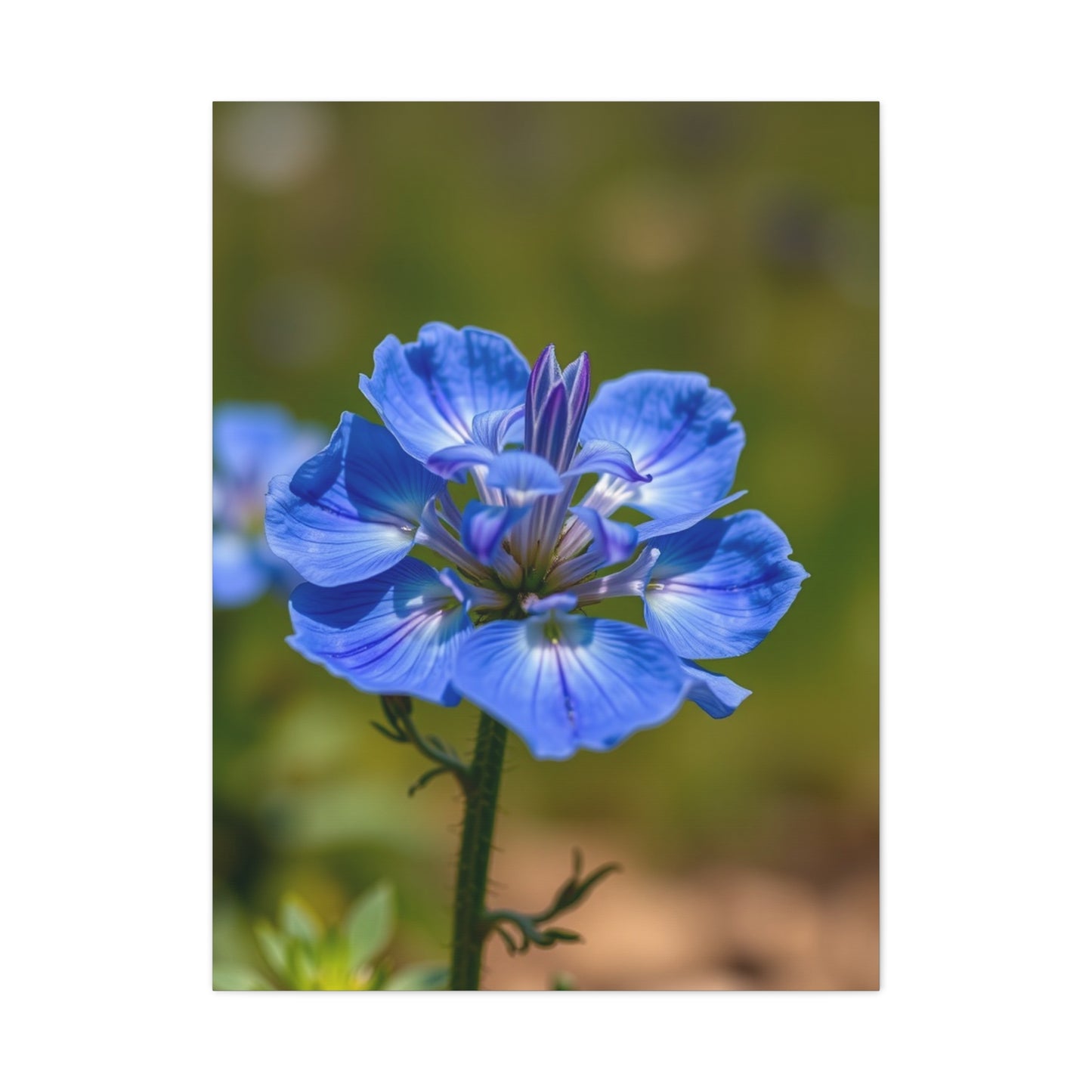 Supreme Bluebonnet Flower Art Wall Art & Canvas Print