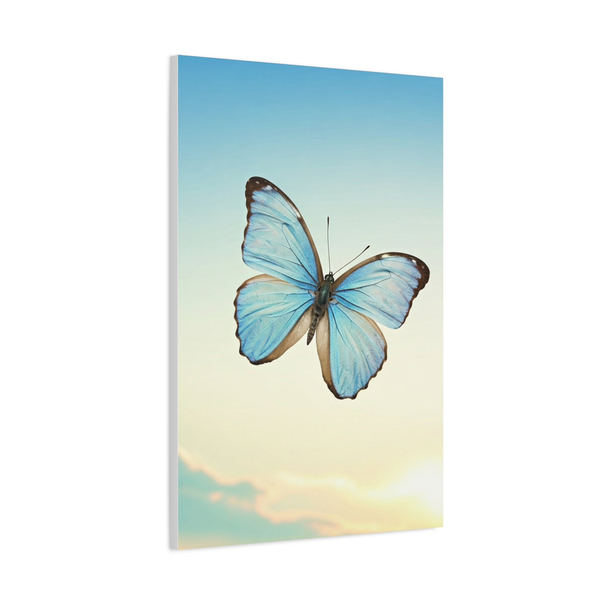 Blue Sky Butterfly Serenity Wall Art & Canvas Prints