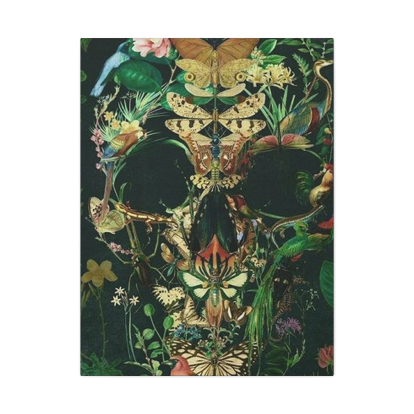 Skull Of Flora And Fauna Wall Art & Canvas Prints