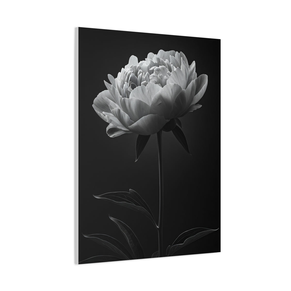 Peony Elegance in Monochrome Wall Art & Canvas Prints