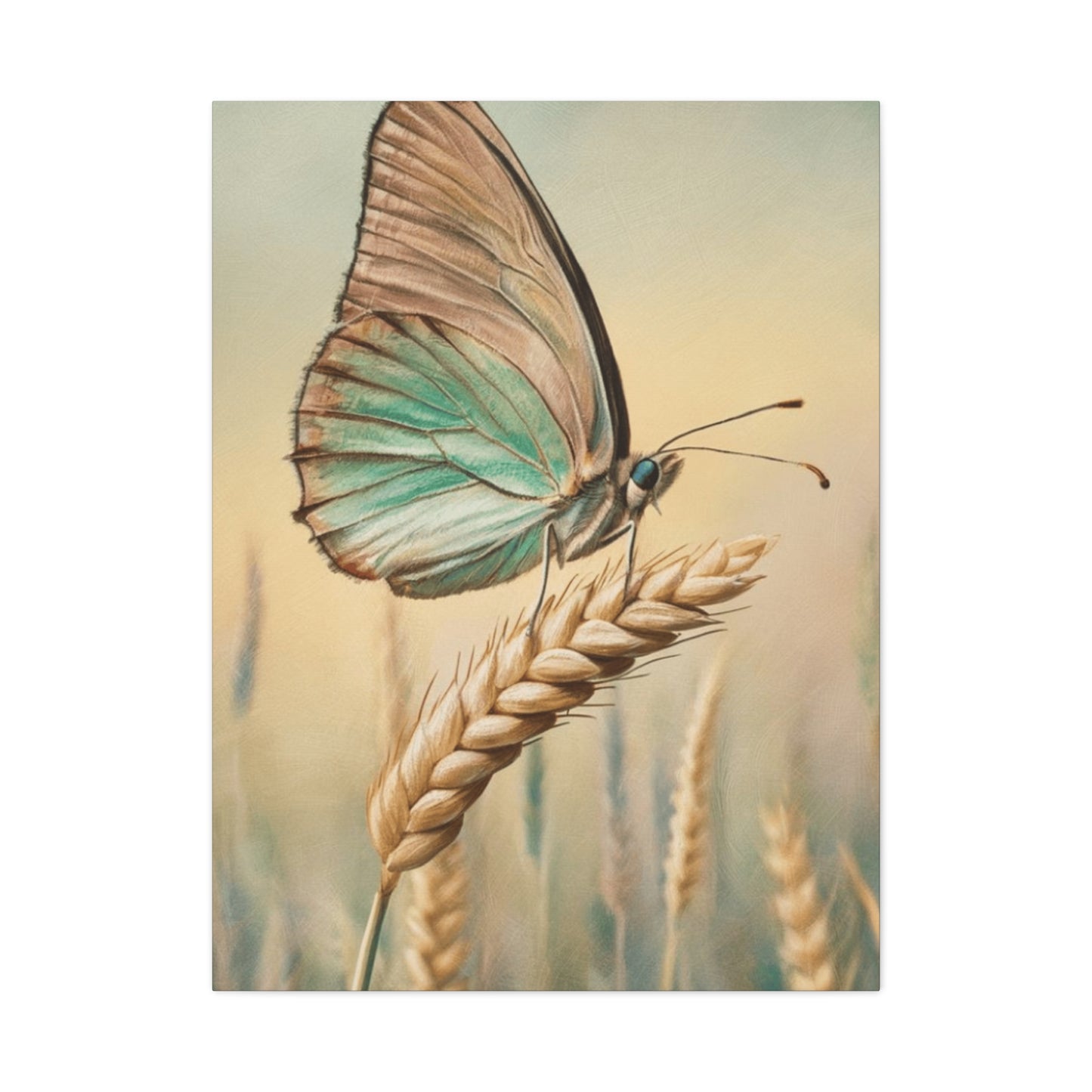 Butterfly on Wheat Crop Painting Wall Art & Canvas Prints