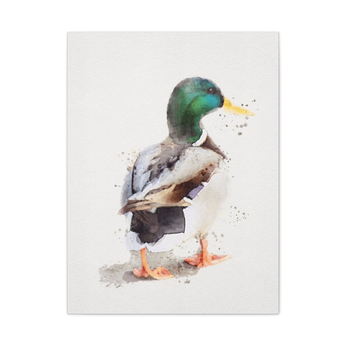 Walking Duck Painting Wall Art & Canvas Prints