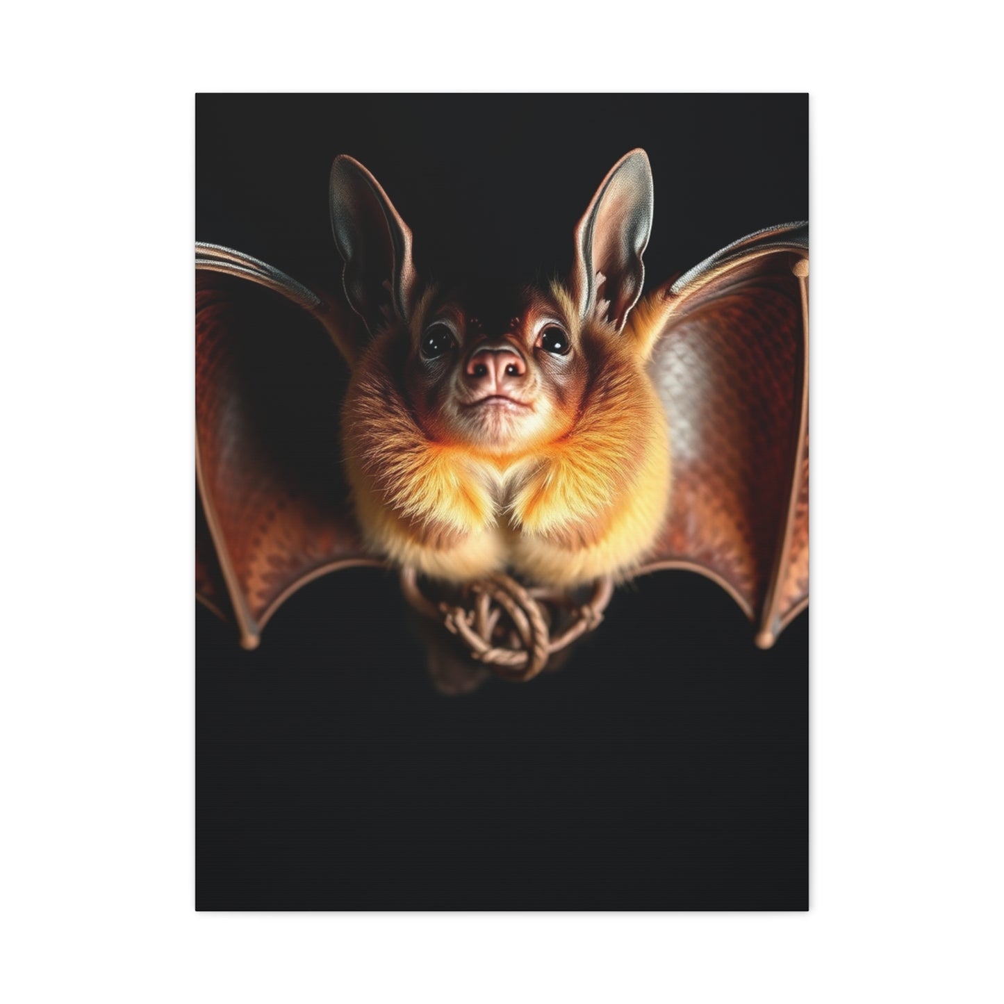 Collection Bat Art Wall Art & Canvas Print