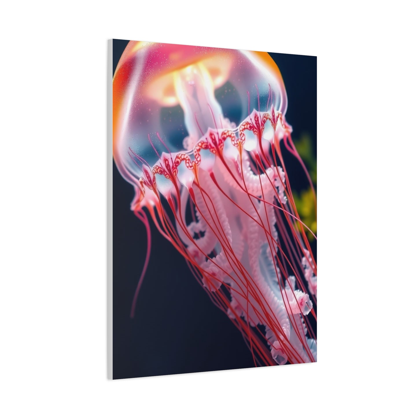 Supreme Jellyfish Collection Wall Art & Canvas Print