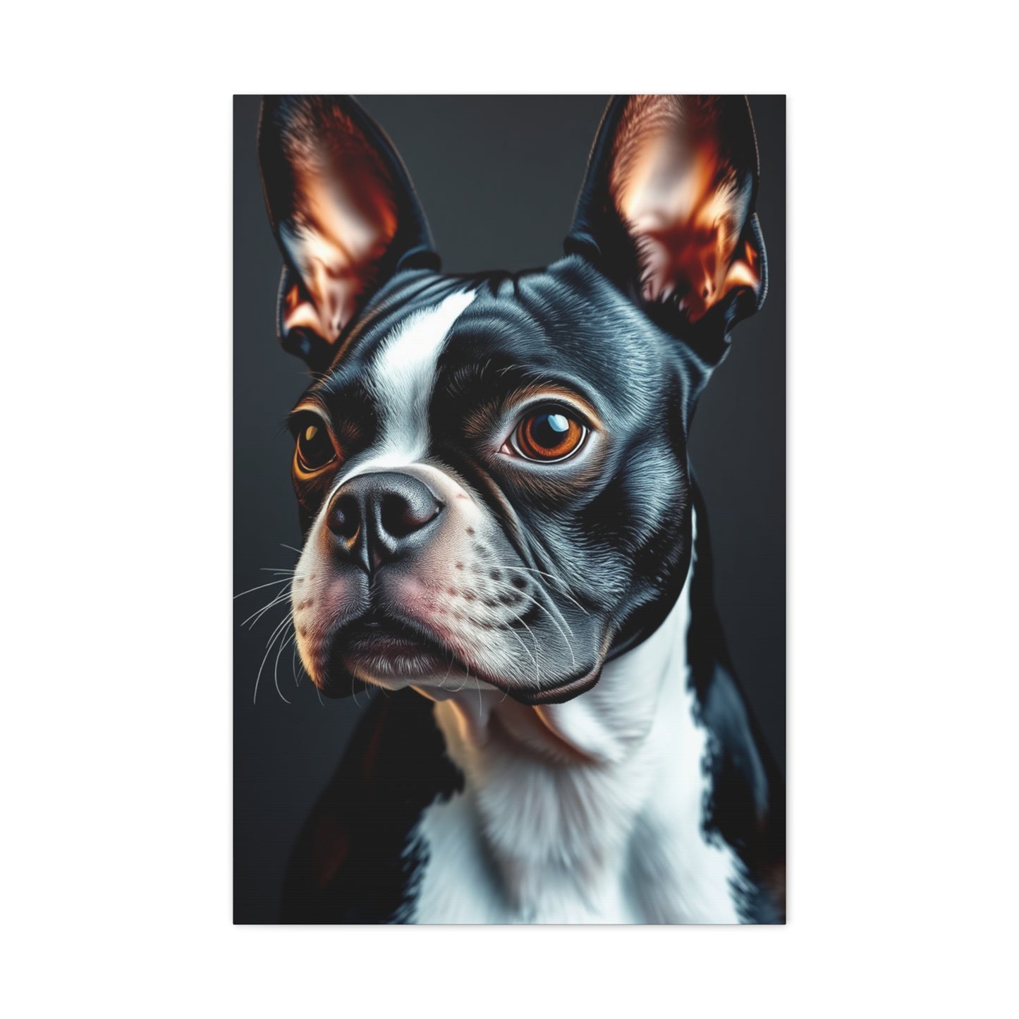 Boston Terrier Art Supreme Canvas Gallery Wall Art & Canvas Print
