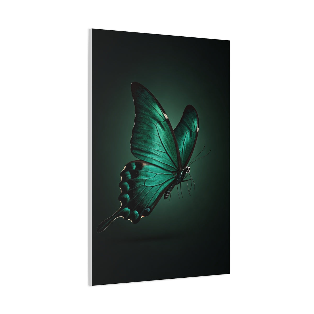 Emerald Swallowtail Butterfly in Shadow Light Wall Art & Canvas Prints
