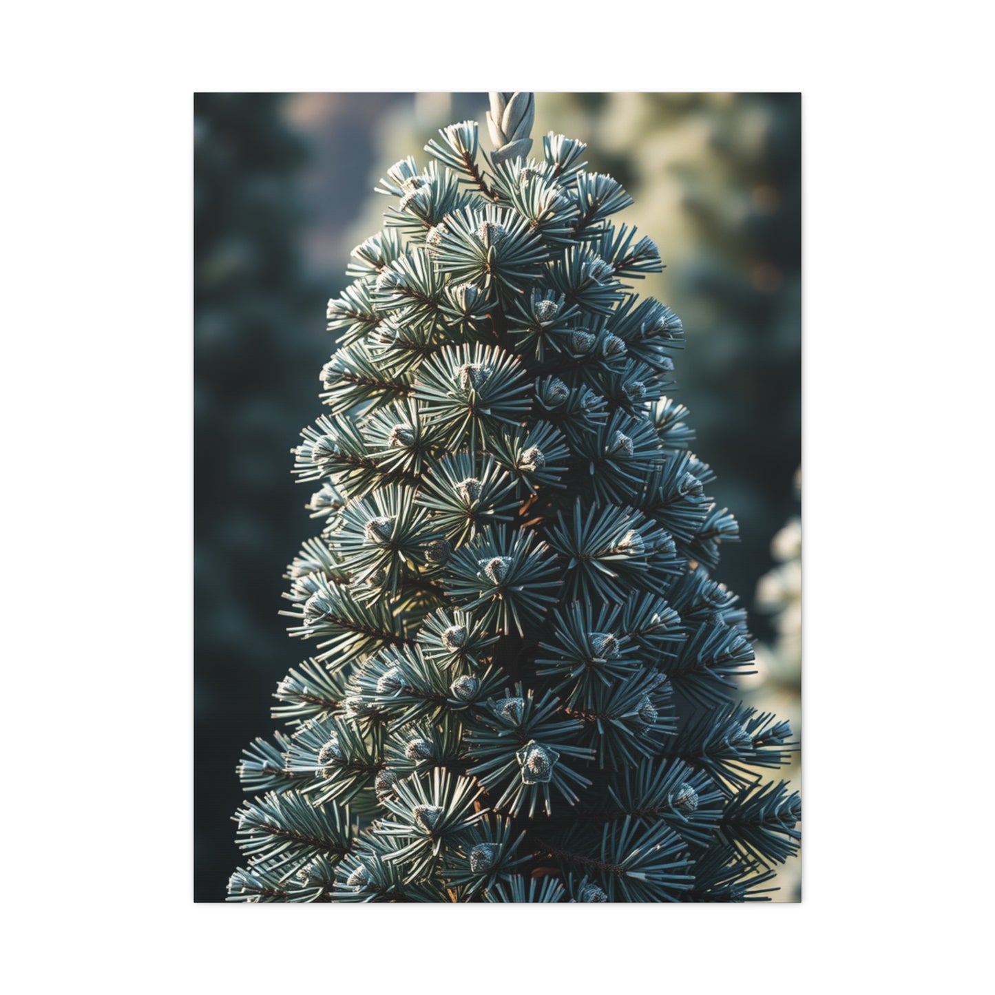 Collection Pine Tree Art Art Wall Art & Canvas Print