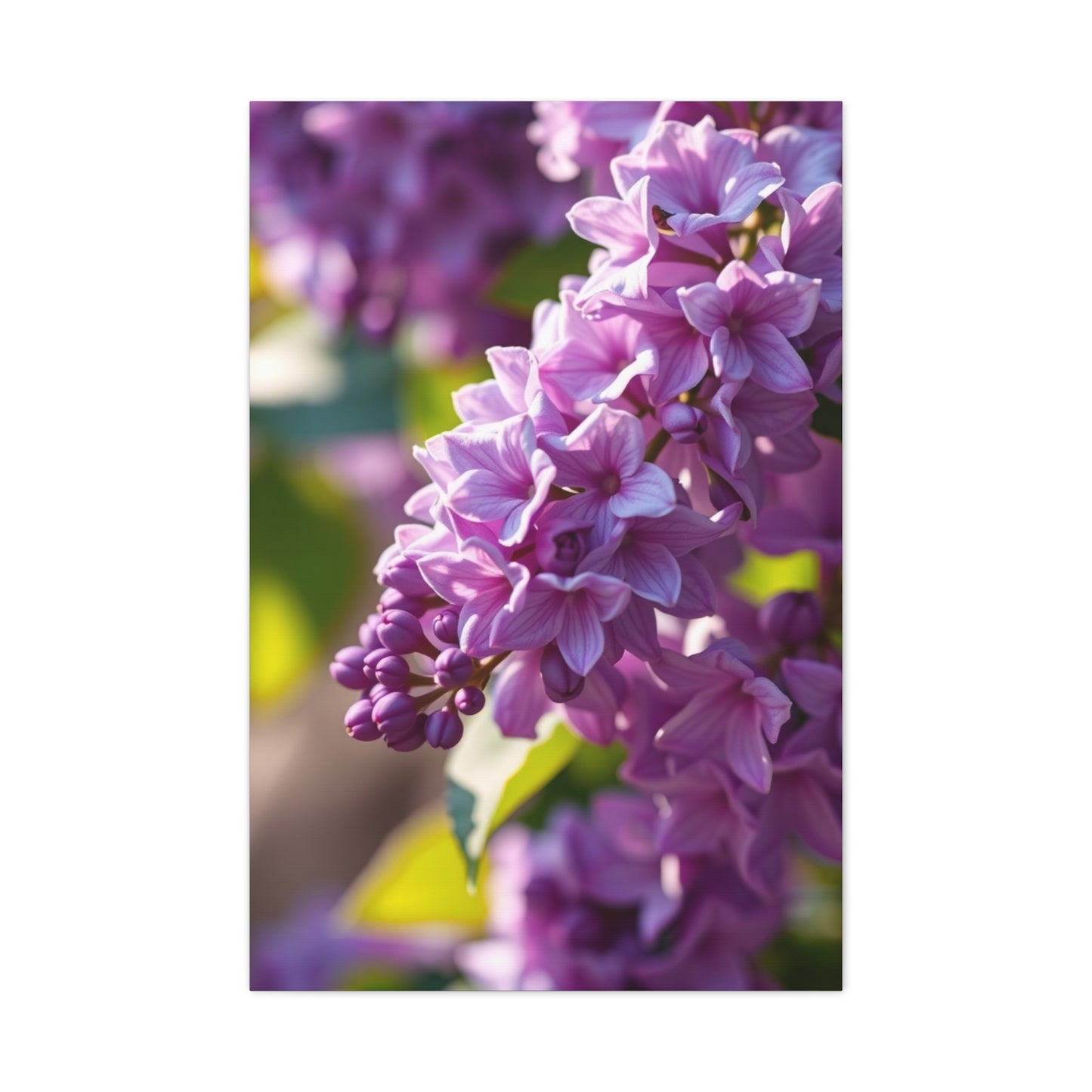 Lilac Flower Art Supreme Canvas Wall Art & Canvas Print