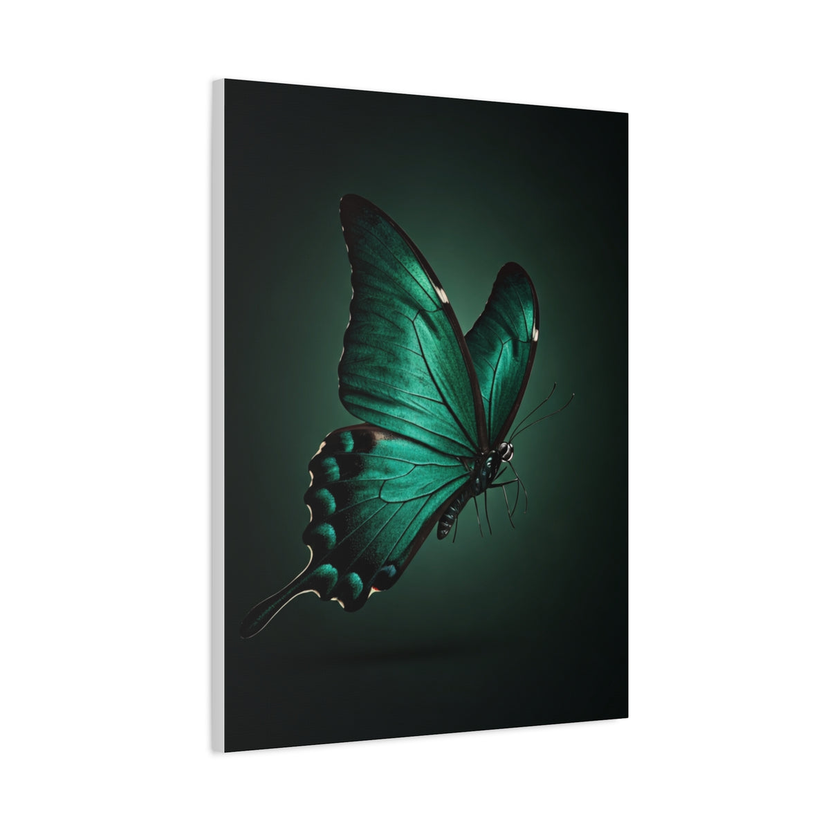 Emerald Swallowtail Butterfly in Shadow Light Wall Art & Canvas Prints