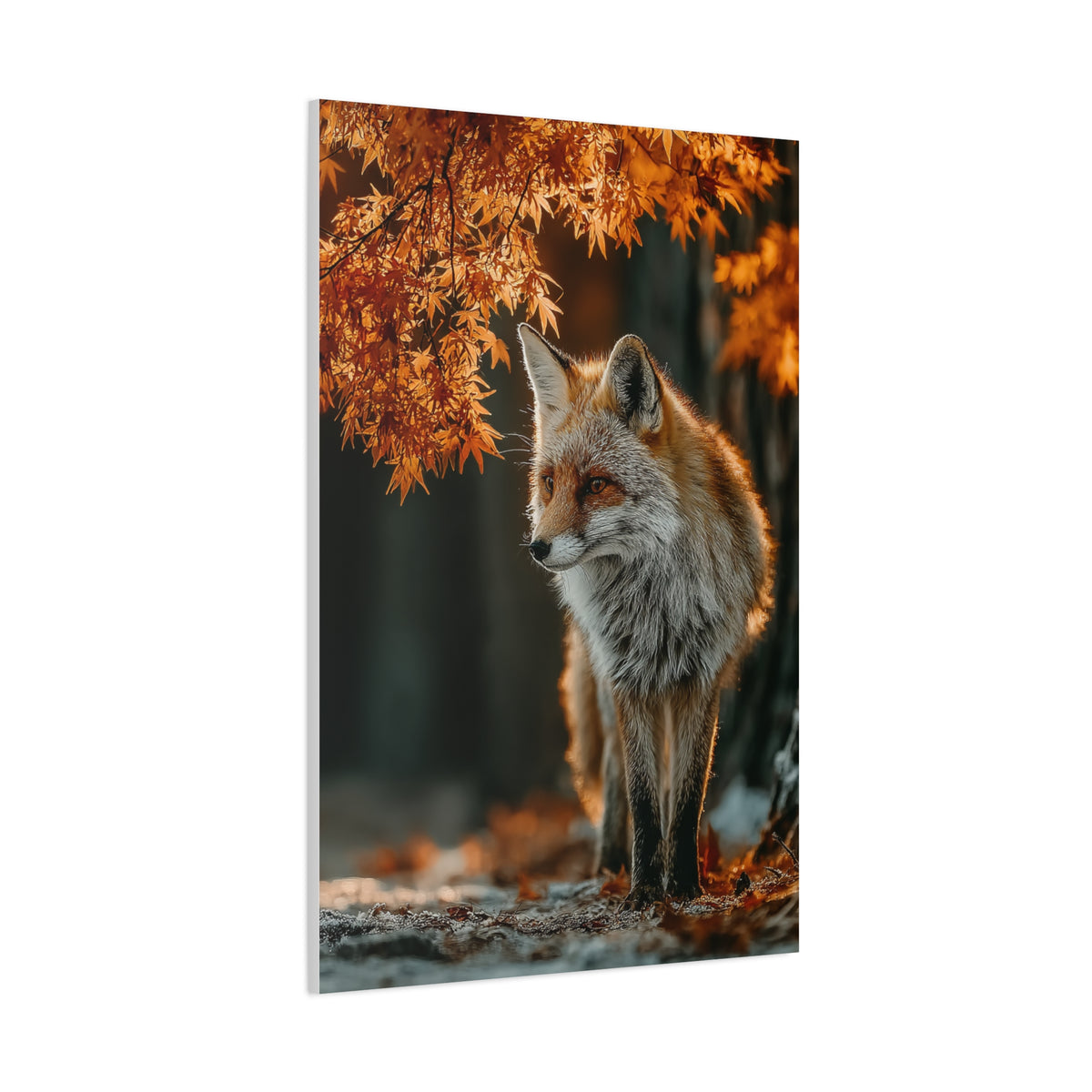 Autumn Forest Path Fox Wall Art & Canvas Print