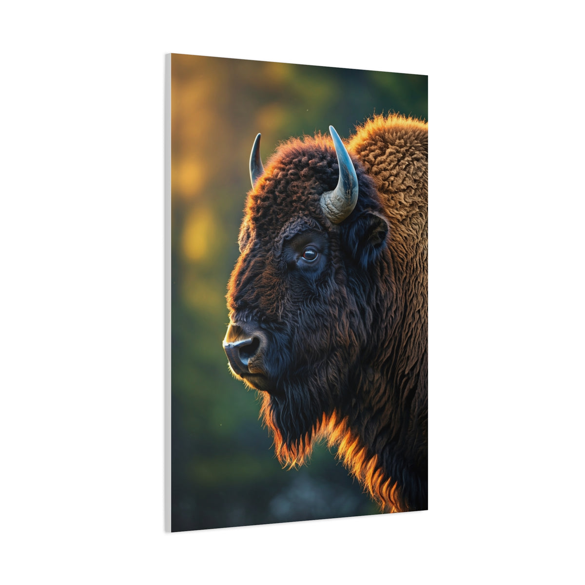Golden Hour Bison Side Profile Wall Art & Canvas Print