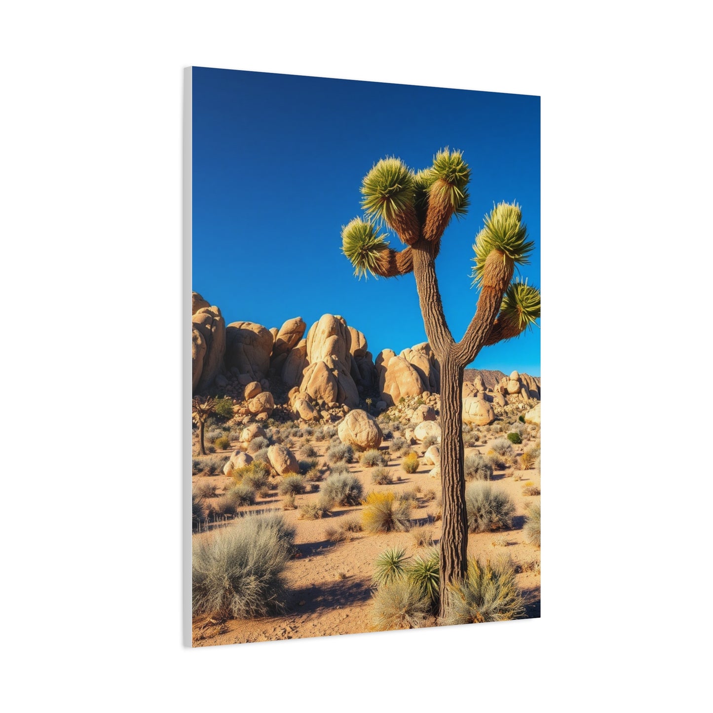 Joshua Tree National Park Art Luxury Canvas Wall Art & Canvas Print