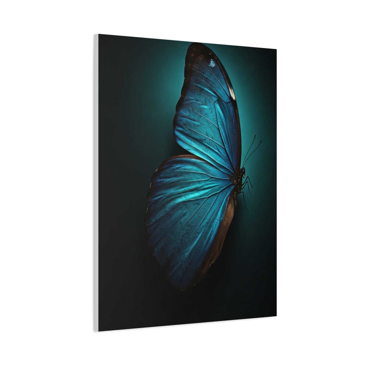 Blue Morpho Butterfly Side Profile Study Wall Art & Canvas Prints