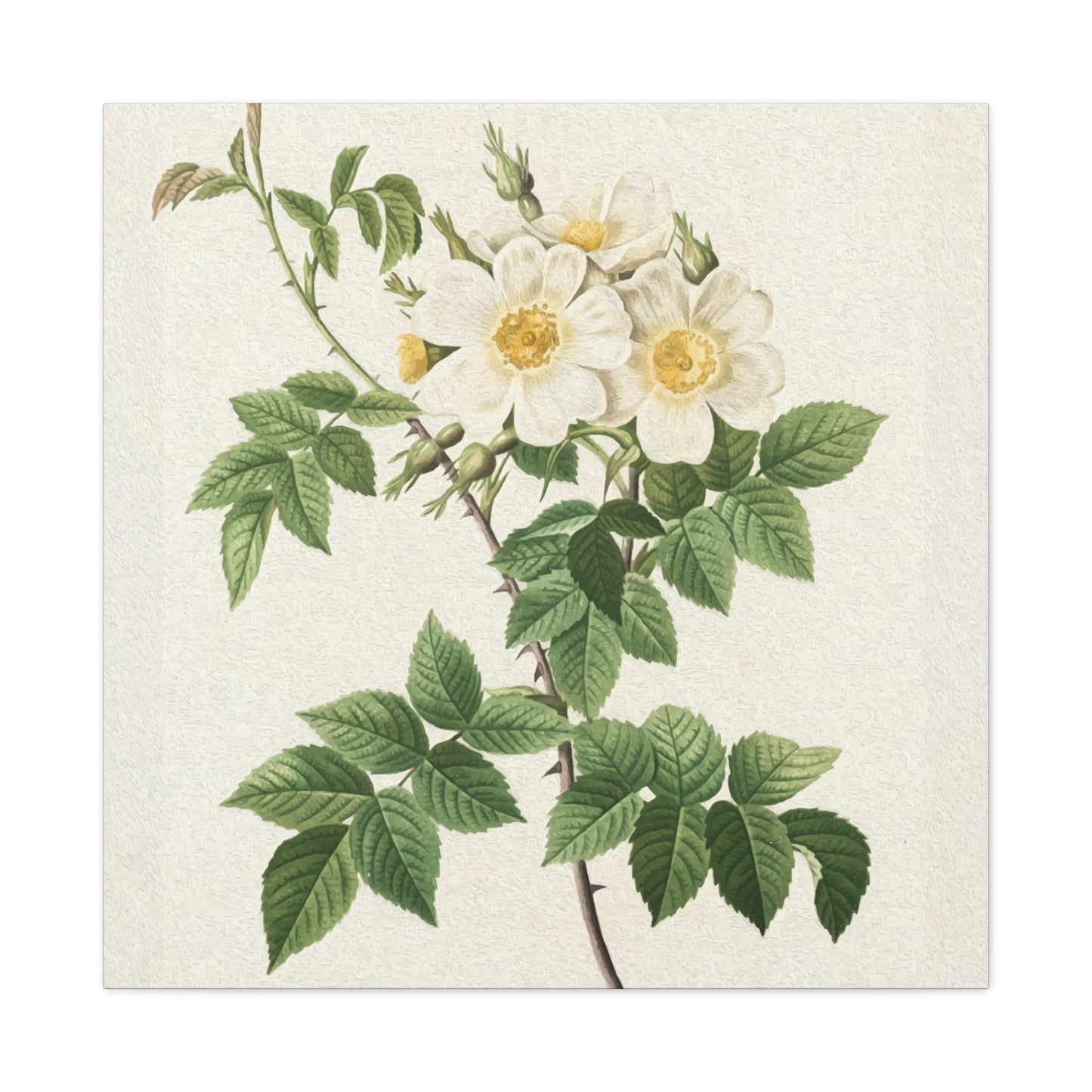 White Flower Wall Art & Canvas Prints