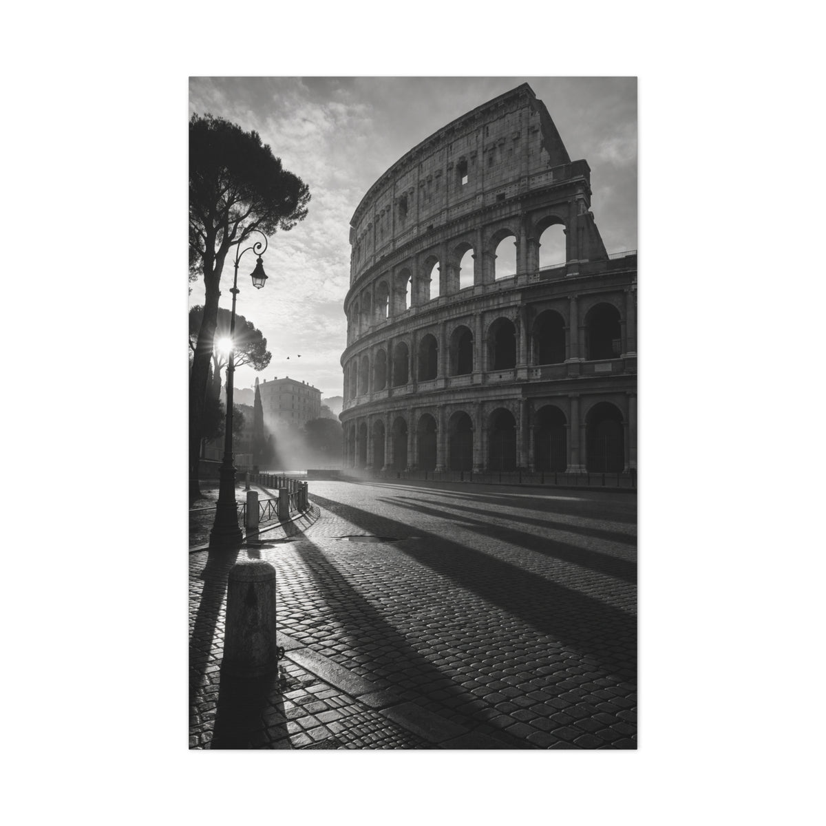 Colosseum Morning Light Monochrome Wall Art & Canvas Print