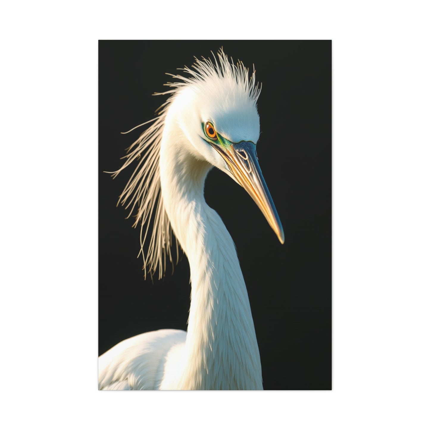 Collection Egret Art Wall Art & Canvas Print