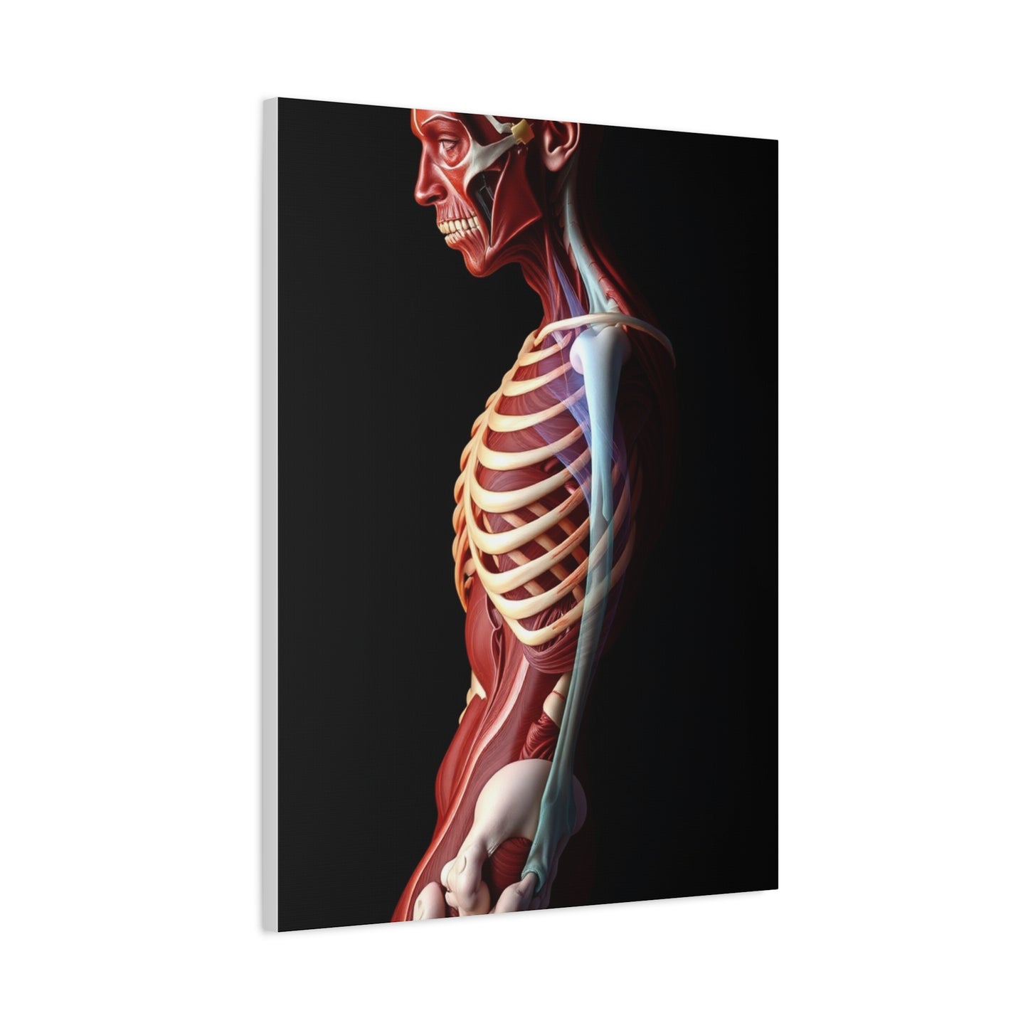 Supreme Anatomy Art Wall Art & Canvas Print