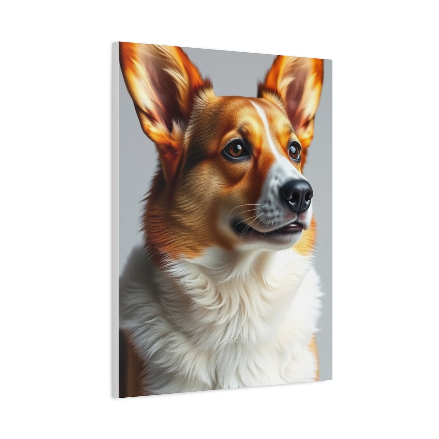 Collection Corgi Dog Art Wall Art & Canvas Print