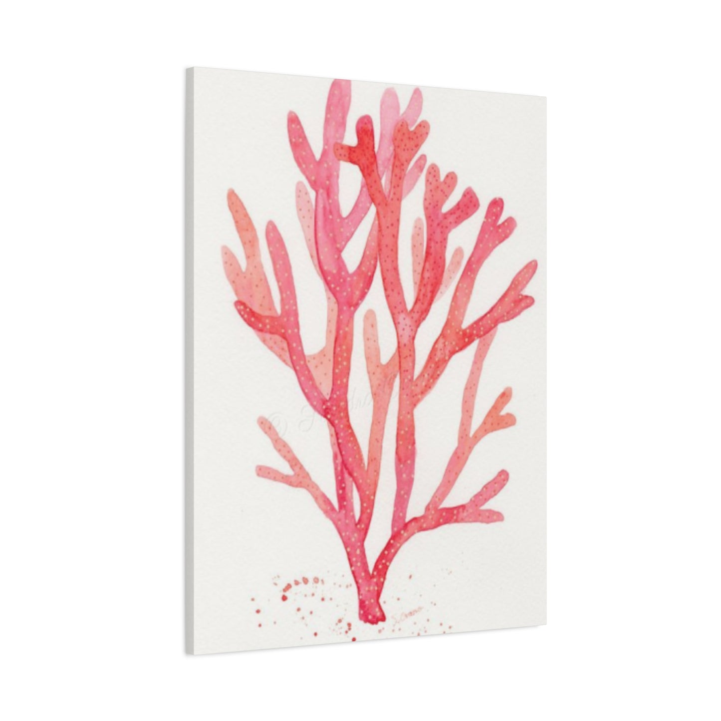 Pink Sea Coral Wall Art & Canvas Prints