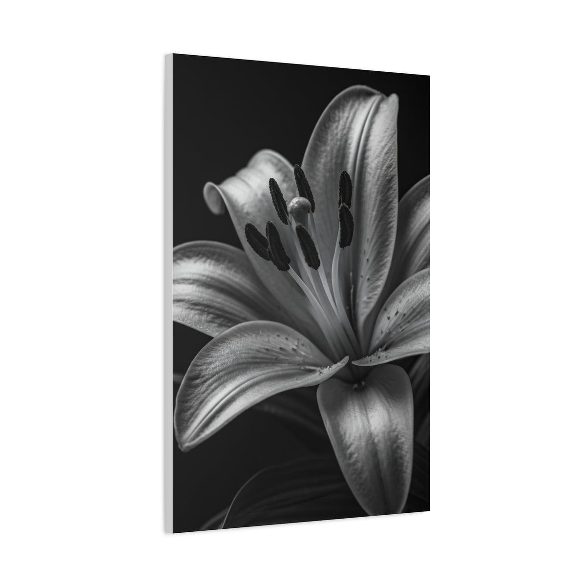 Lavender Silhouette in Low Light Wall Art & Canvas Prints