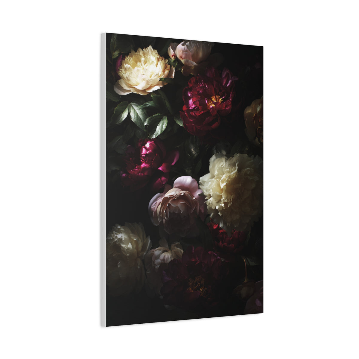 Luminous Peonies on Dark Background Wall Art & Canvas Print